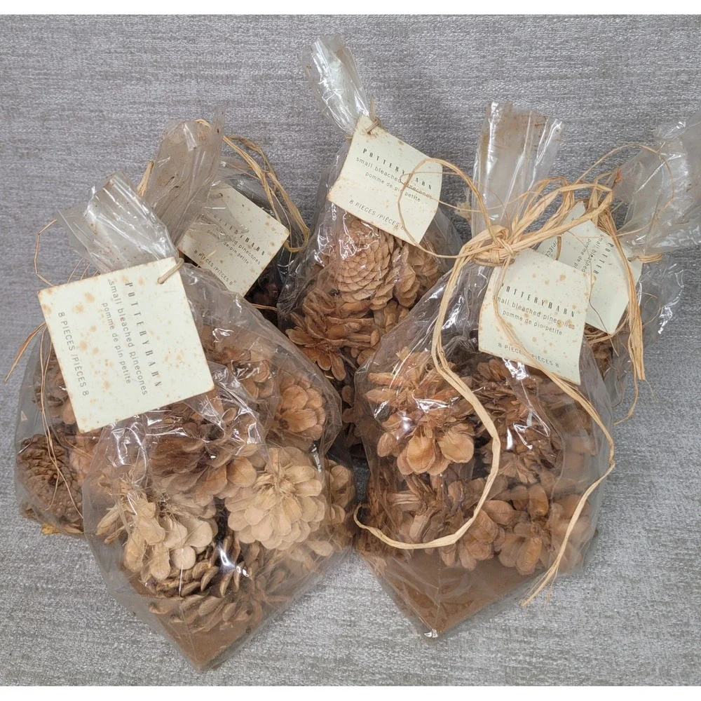 Pottery Barn Small Bleached Pinecones 5 Bags Decorative Bowl or Vase Filler NEW